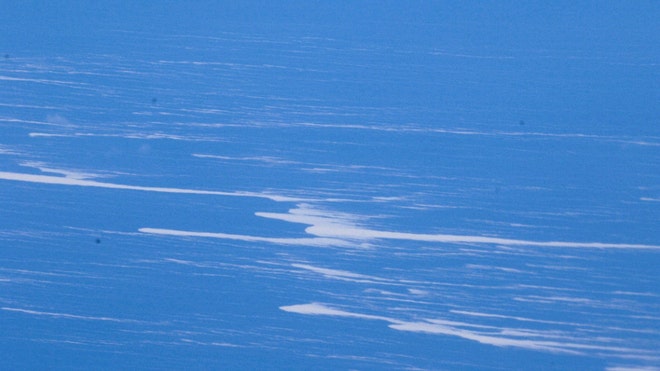 New Zealand Volcanic _Leff.jpg